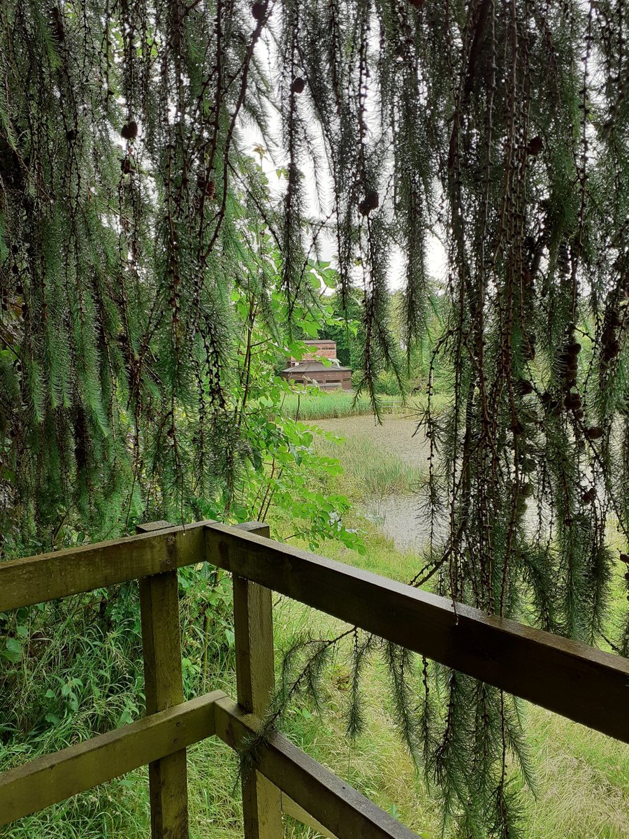 🤩 Fantastic day at the office visiting one of our local community causes, volunteer run <a href="/FoxgloveCovert/">Foxglove Covert</a> and what an incredibly worthy cause!🌳 Well worth a visit if you haven't been, what a gem right on our doorstep. Beautiful, regardless of the torrential rain! 🌧