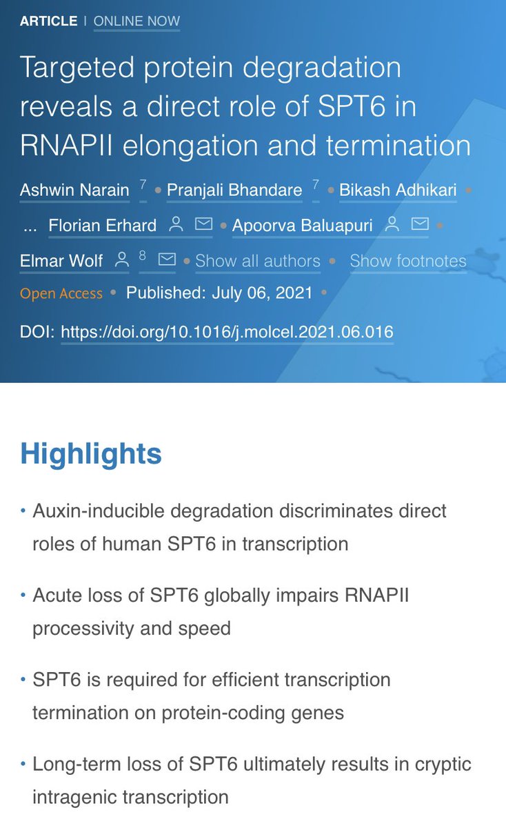 PranjScripts's tweet photo. Thrilled to see my co-first authored research in the wonderful blue hue of @MolecularCell ! 😁 Have a look in here to get to know this superhero of a protein - SPT6! 
https://t.co/NS6iv4LGXT https://t.co/Hu1kEkFtpW