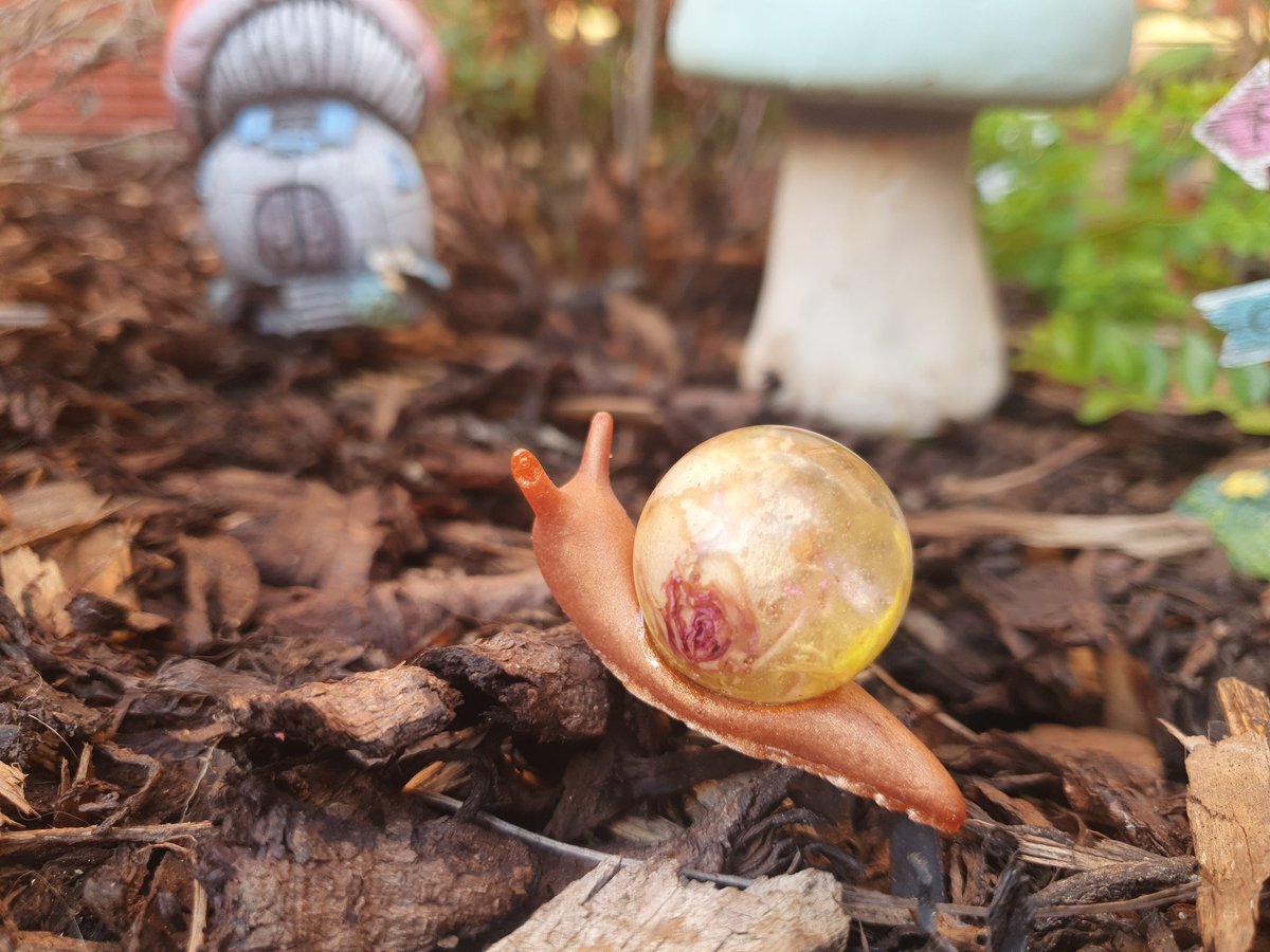 bowtopia's tweet photo. Real dried rose snail 

#snail #smallaccounts #tuesdayvibe #handmade #Popular #buyme #etsy #etsyshop #RETWEEET https://t.co/1SRlpigJIM