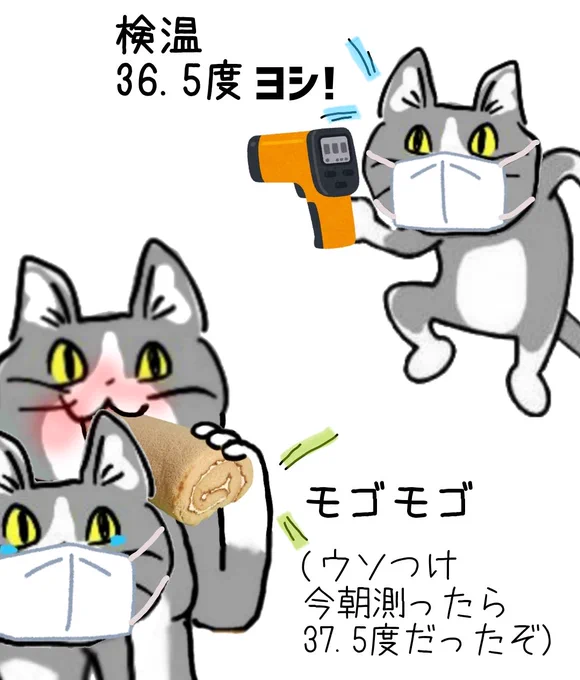 非接触体温計の検温、だいたい家で測った数字より低めに出るけどとりあえずヨシ! #現場猫 