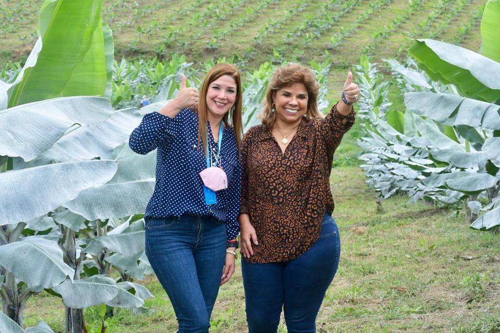 📍AHORA | Con <a href="/SalvatierraMaIs/">Maria Isabel Salvatierra</a>, <a href="/LupeVelascoW1/">LupeVelascoWiesner</a>, visita la hacienda <a href="/SantaElenaGreen/">Santa Elena Green Products</a>, en la provincia de Santa Elena.

Este es el apoyo de #BanEcuador, para impulsar más fuentes de trabajo con calidez y sentido humano para más ecuatorianos.👩‍🌾👨‍🌾