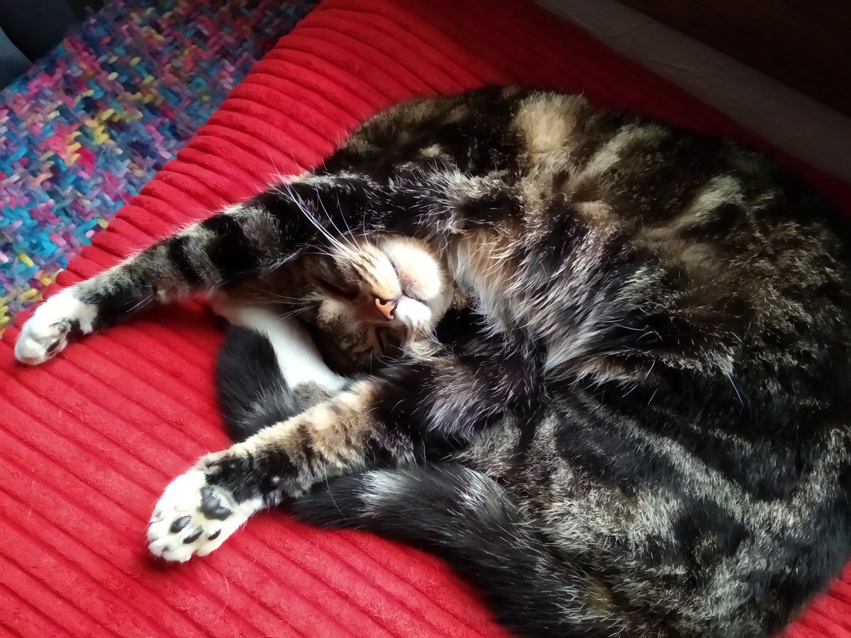 catmometer's tweet image. Drizzle