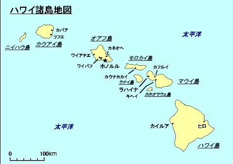 ハワイ諸島のtwitterイラスト検索結果 ハワイ諸島のtwitterイラスト検索結果