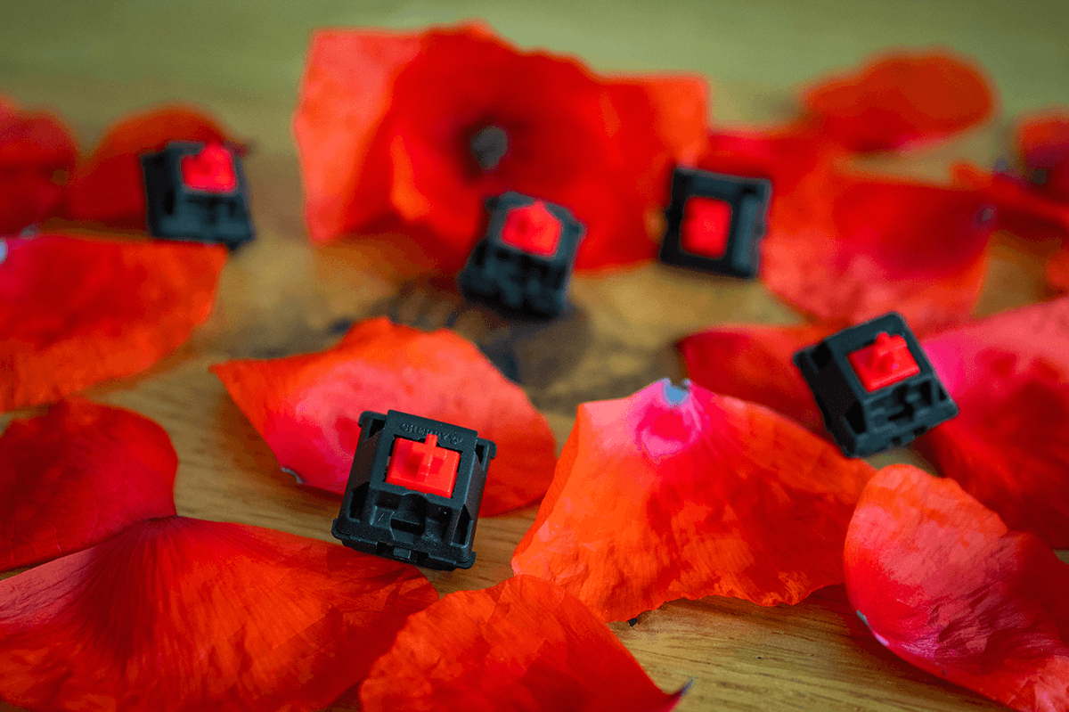 cherrymx's tweet photo. Simply Beautiful! 🌹 Is #red your favorite color - especially for CHERRY MX #switches? 🍒
Find more information about the #MXRED on our website: https://t.co/c9ME6Wj1xr https://t.co/lKBNwT25r4