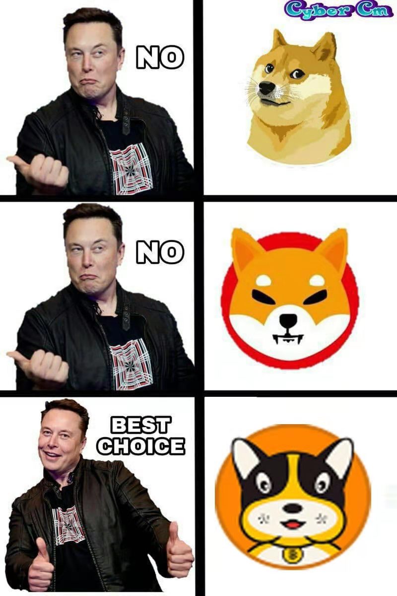 do you love doge
<a href="/elonmusk/">Elon Musk</a>
 
@ItsDogeCoin
 
<a href="/DogecoinRise/">Dogecoin Rise 🌎🚀🌕</a>
 
<a href="/DogecoinRide/">Dogecoin Ride</a>
 
<a href="/Dogecoin2Devs/">Dogecoin 2.0 Devs</a>