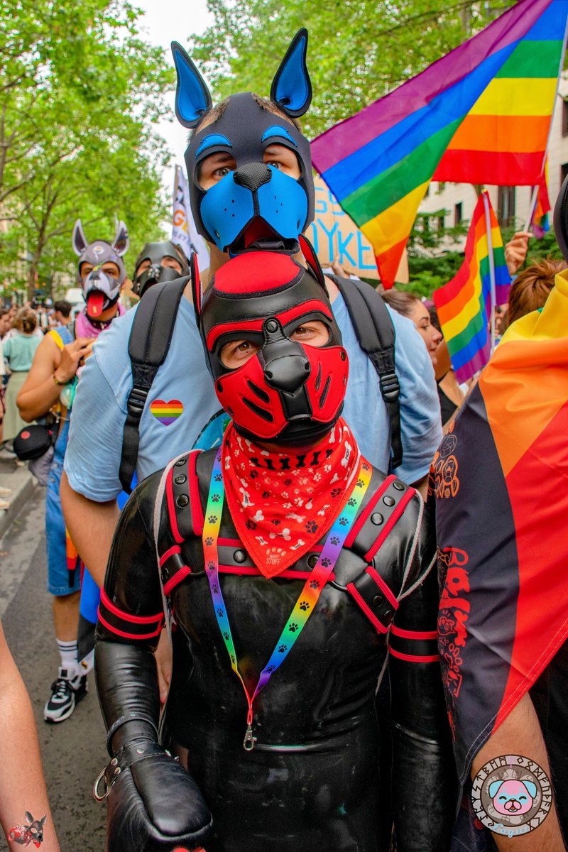 Found a big teddy pup to protect me 😁🧸🐶

The teddy pup: Titan Ki-difenn 😇
📸 @PixelPup5