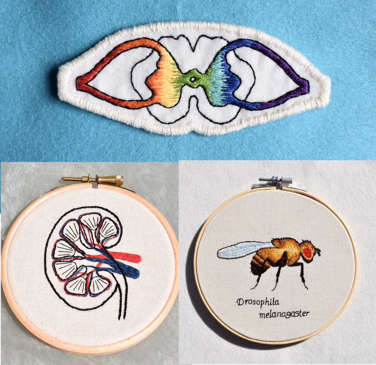 Looking for some #SciArt? Here’s what’s currently available!