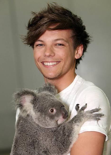 iMHL24's tweet photo. Tweet de apreciación a Louis con un Koala <3

BUY KILL MY MIND ON ITUNES https://t.co/MBJ2xO0Sza