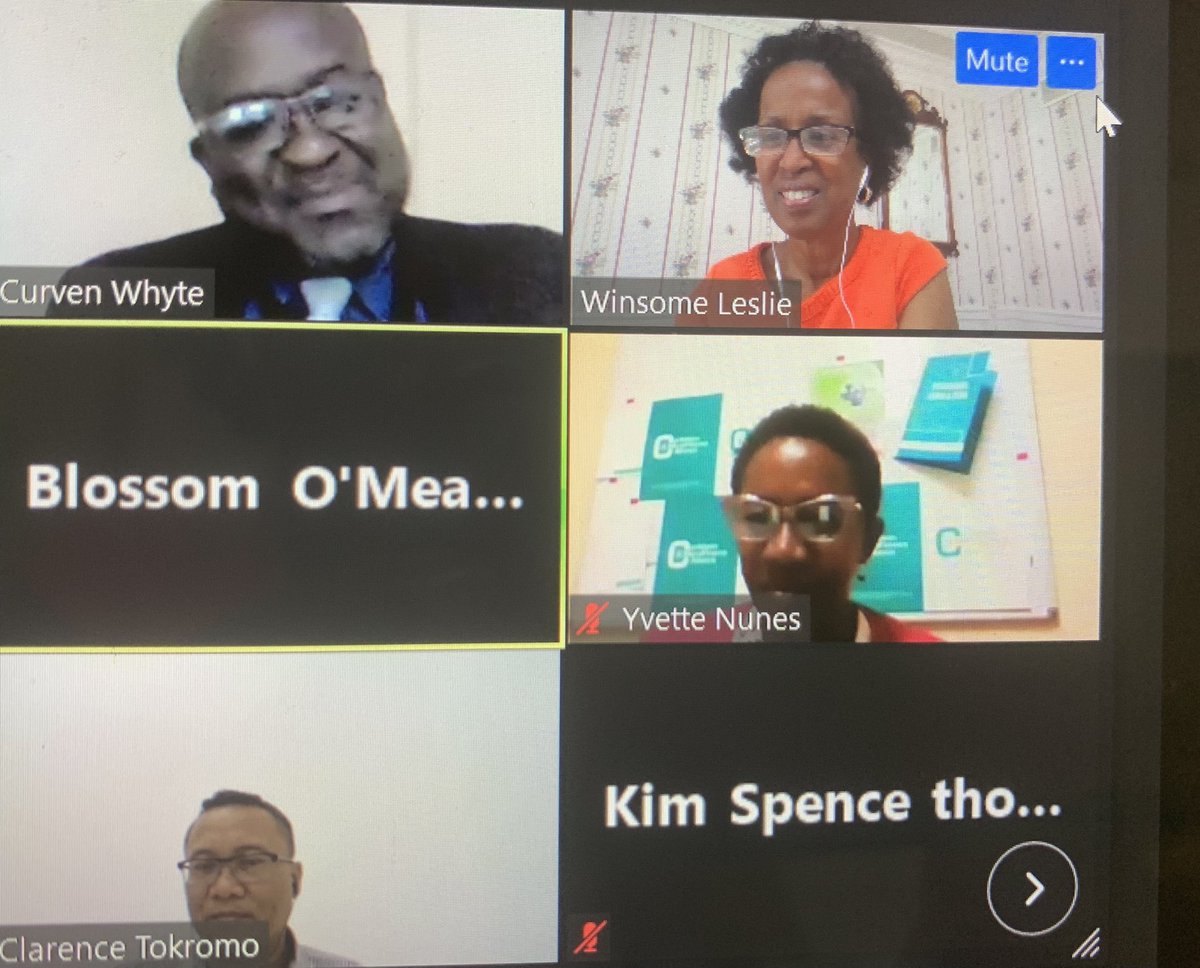 Just ended a lively discussion on green finance co-hosted with the Caribbean Microfinance Alliance.  Key takeaways- start with a demand study, focus on changing organizational culture towards greening, find partnerships, and take an ecosystem approach.