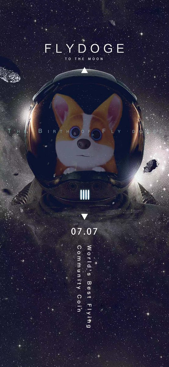 theflydoge's tweet photo. 07/07/2021 Prepare to launch. Countdown begins. Join us on Telegram: https://t.co/K1Kr8ctGwb 中文电报社区：https://t.co/U3W5faF5dI https://t.co/v0gjhVfZlr