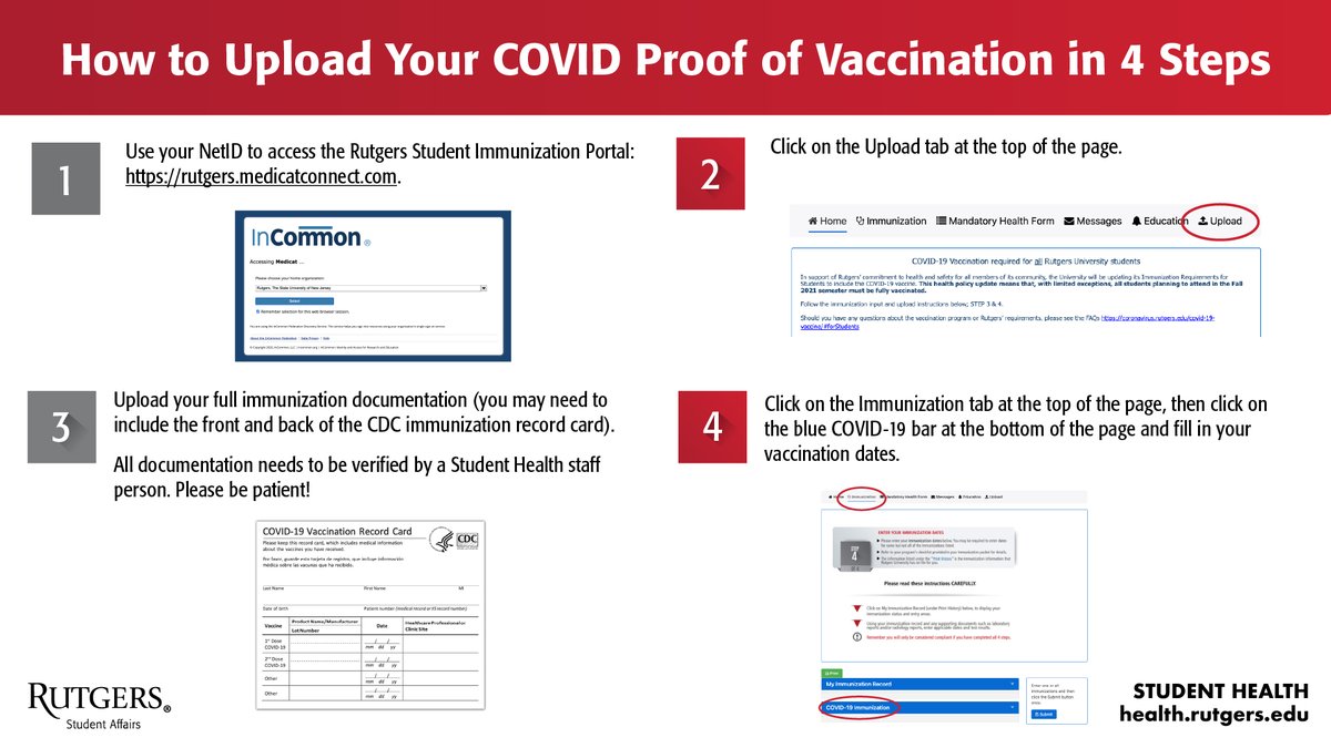 RUVPVA's tweet photo. Confused about how to upload your proof of COVID vaccination? It’s not as hard as it seems. Follow these 4 easy steps by visiting https://t.co/LXKgHru3j1! 
#Rutgers #RCommunity #WeRUnited https://t.co/kdUyw5seK2