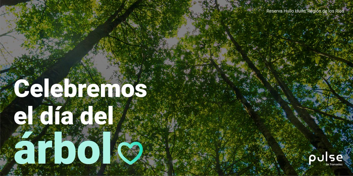 Pulse Energia tweet media