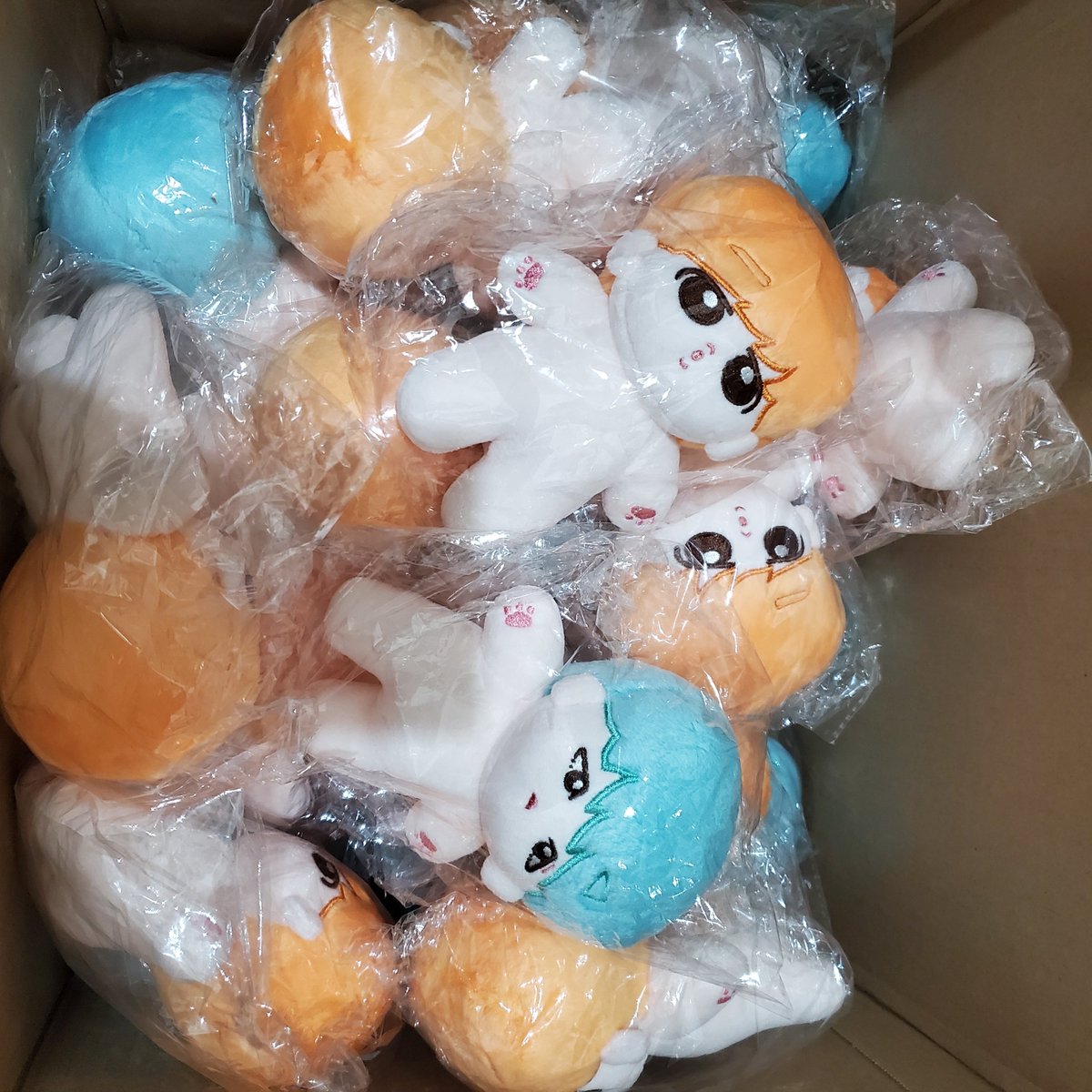 【院長公告】迷你其旻到貨
剛才已發信通知
修改地址請於7/8前回覆信件喲，謝謝