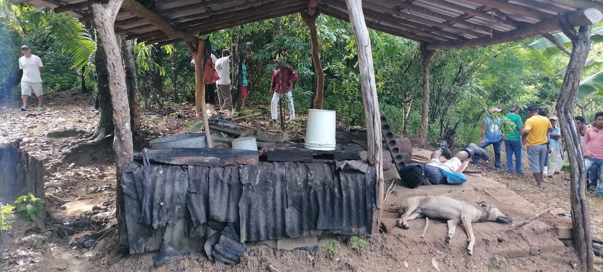 sofyvaldivia's tweet photo. Ⓜ️📺2 hombres murieron este martes en el municipio de San Juan Colorado, Jamiltepec, en la costa de Oaxaca debido a un rayo. 
Los hechos se suscitaron en el municipio de San Pedro Siniyuvi donde fueron localizados los cuerpos de las personas. 
Uno de los hombres era de 44 años. https://t.co/9LNyix9Ugk