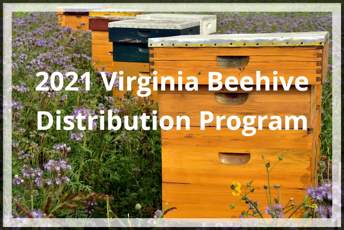 beehive, bees, bee keeping