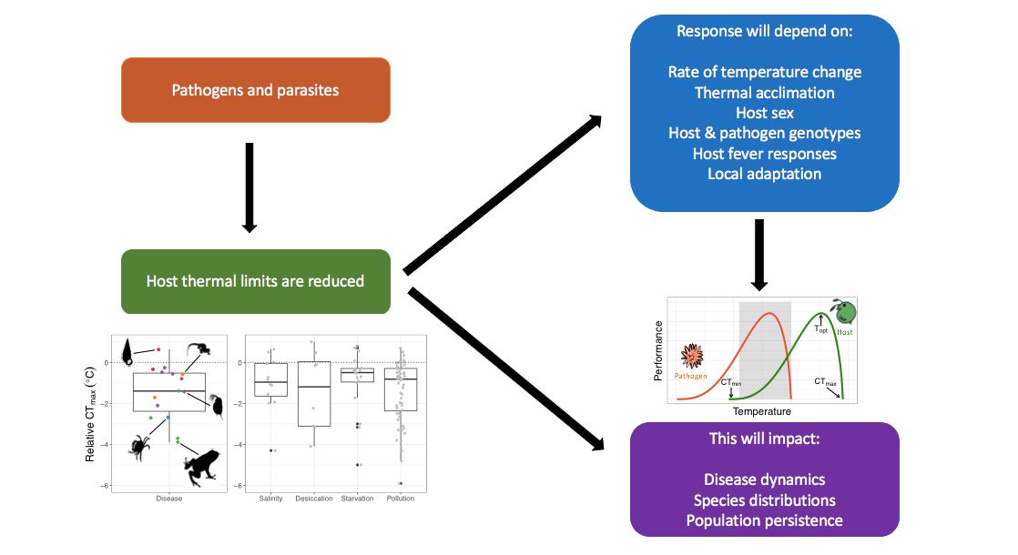 Pathogen Thermal Global Change Biology on Twitter:
