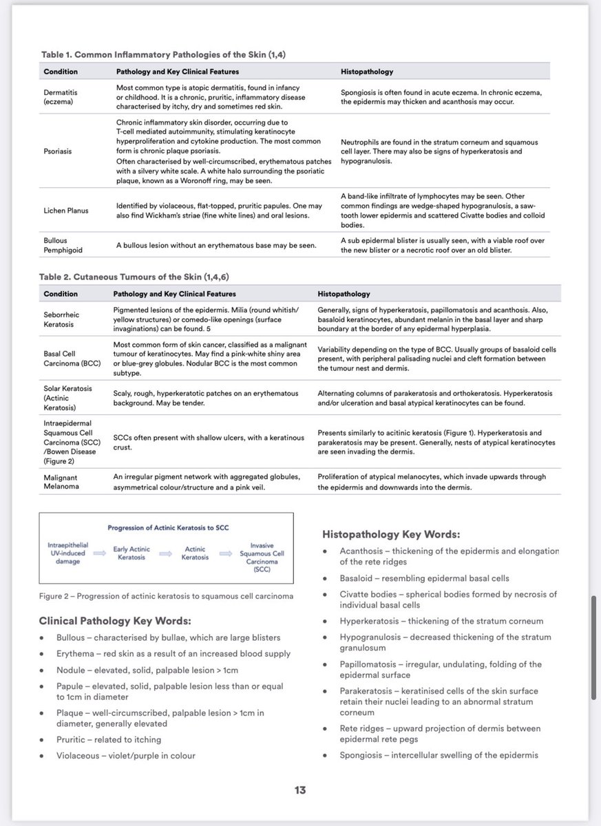 Anisah Ali (@anisahzali) on Twitter photo Thanks to <a href="/medstudentsec/">RSM Student Section</a> for the opportunity to write a section on Dermatopathology in their latest student speciality booklet surrounding Pathology!
rsm.ac.uk/media/5474712/… Thanks to <a href="/medstudentsec/">RSM Student Section</a> for the opportunity to write a section on Dermatopathology in their latest student speciality booklet surrounding Pathology!
rsm.ac.uk/media/5474712/…