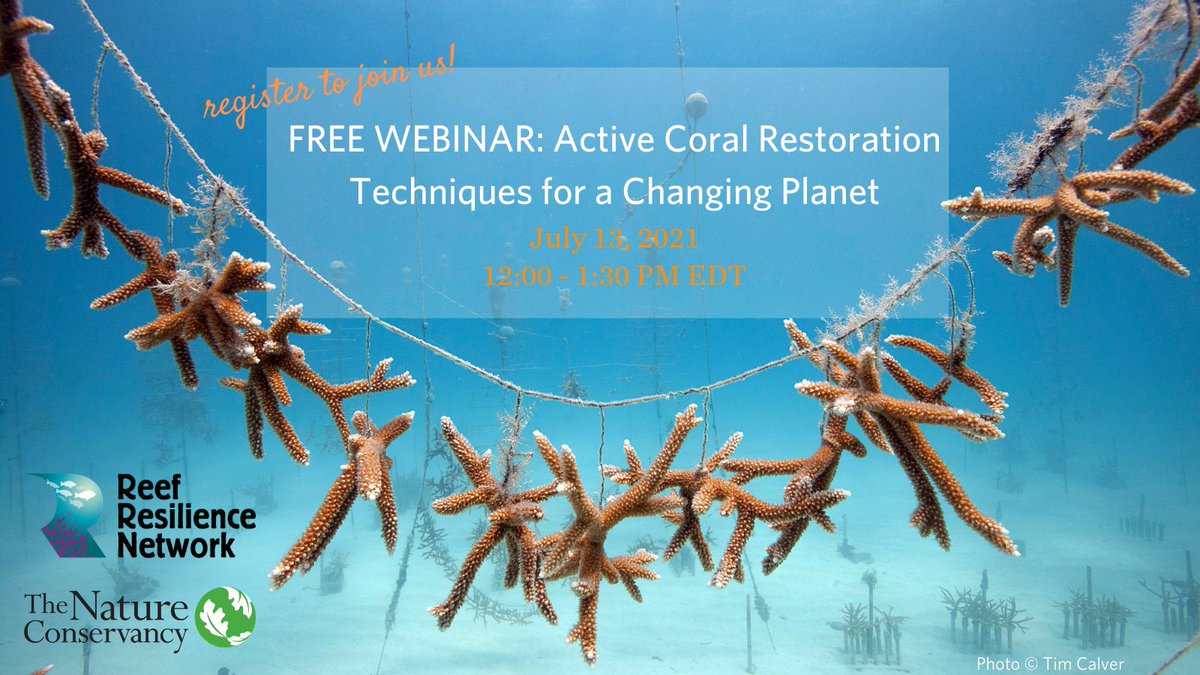 Reef Resilience tweet media