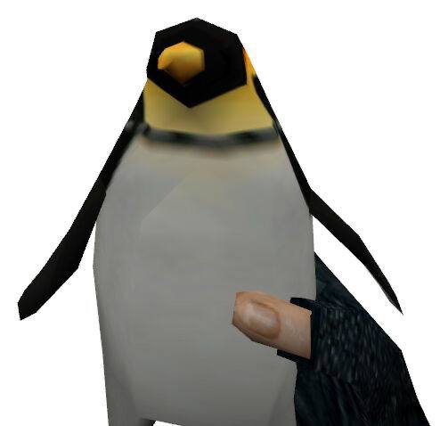 Gollie_wolf's tweet photo. Penguins. https://t.co/HQ6yVpysNL
