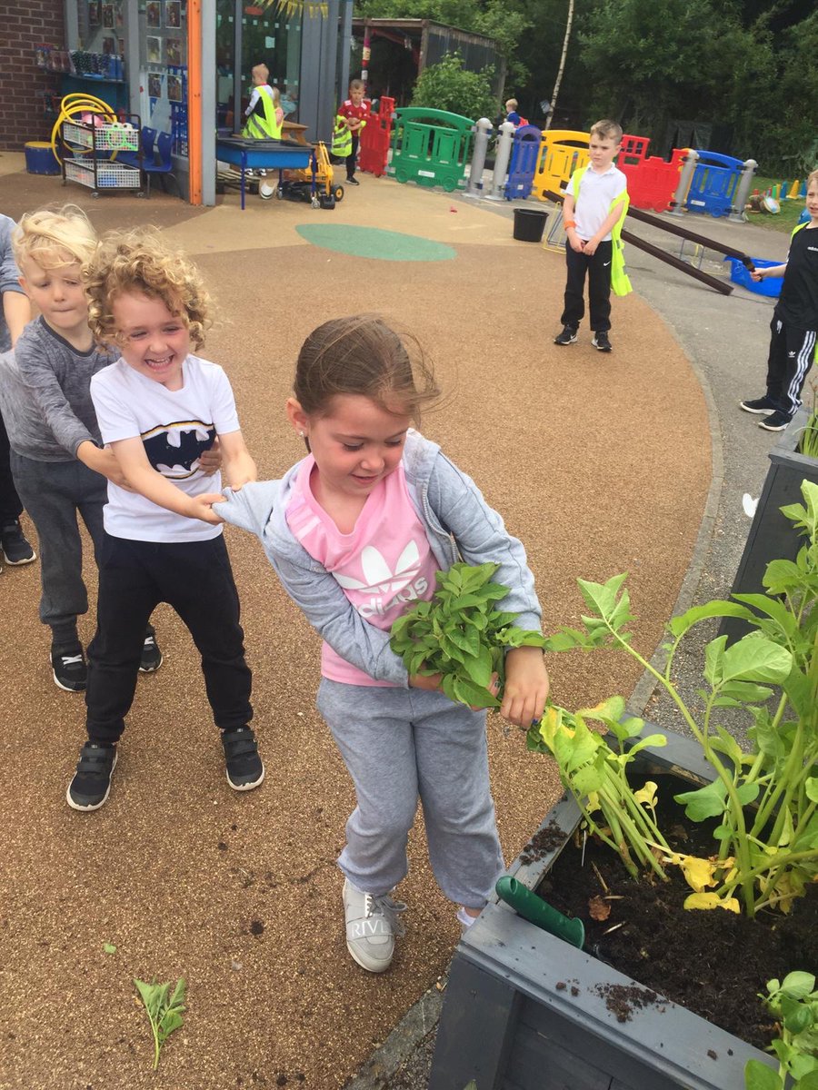 Williamstown Primary tweet media