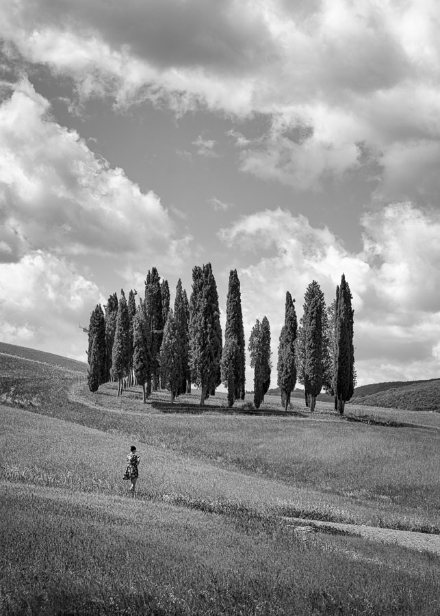 Teun_Photo's tweet photo. De Cipressen van Toscane - zwart wit https://t.co/wMYwJzaFRQ via @werkaandemuur  
#wadm #Italie #toscane #ohmyprints #sonyalpha #a7r4 #a7riv https://t.co/TZ5LINpUlj