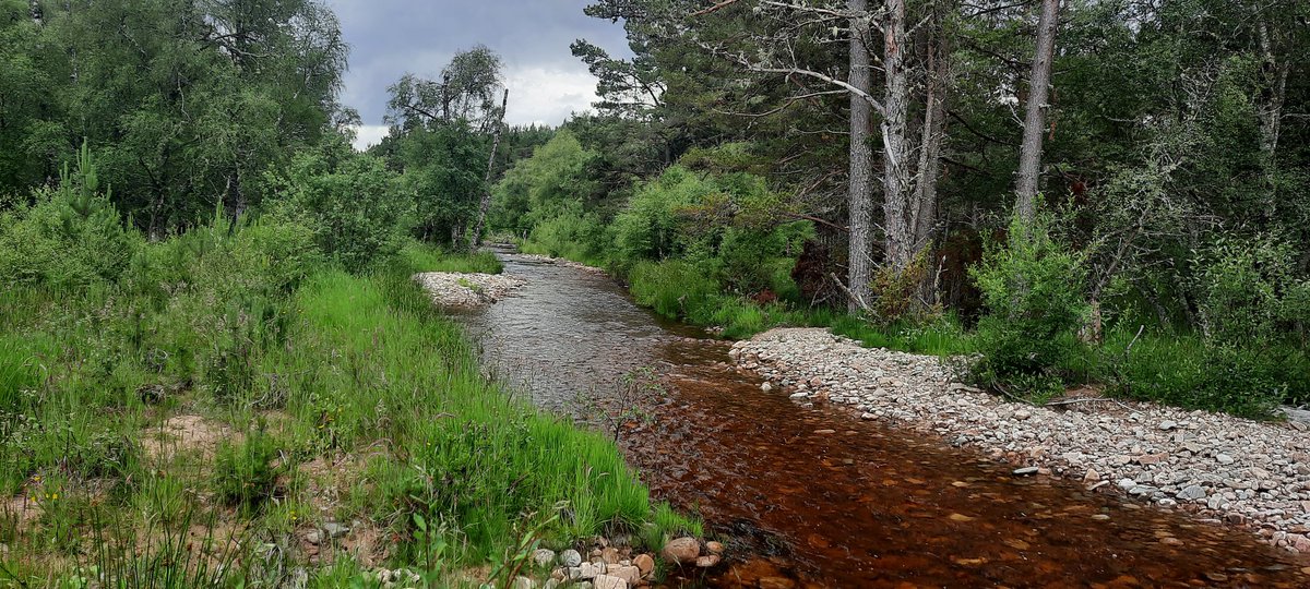 Cairngorms nature team staff get together: Out with @SpeyFishery and Duncan learning about the Allt Lorgy restoration project.   @CNPnature @nature_scot