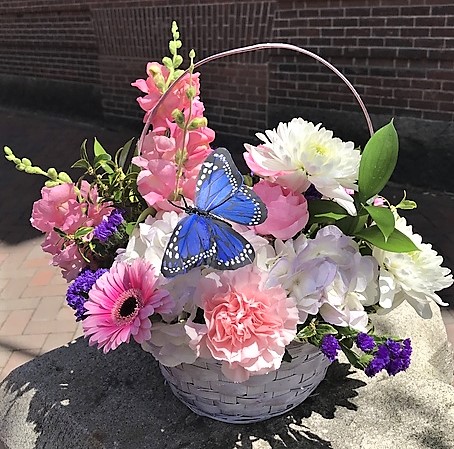 We'll be back in the shop tomorrow at 9am (why do vacations go by so fast!?) We look forward to seeing you and just wanted to share a reminder: You don't need to wait for a special occasion to send flowers. Your favorite Social Butterfly would love a surprise delivery soon!