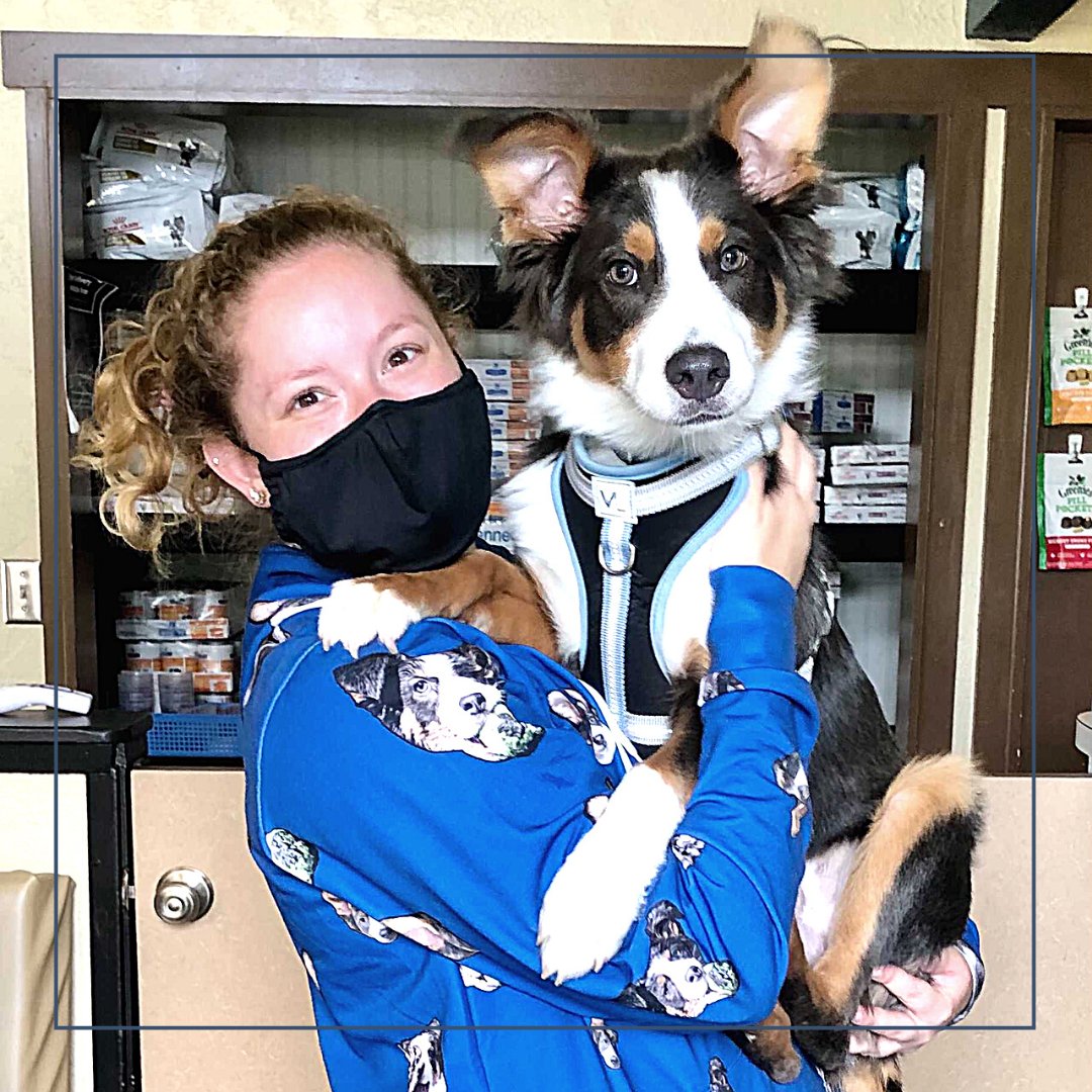 BothellPetHosp's tweet image. Callie and her beloved pup Archie just popping in to wish everyone a happy summer! (hmmm, I wonder what lovely pup is on those scrubs?)  #bothellpet #bothell #dogsofbothell #woof #vettechs #veterinarian #pethealth #happypuppy #weloveourteam