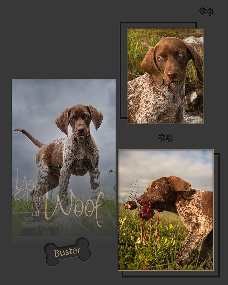 JeffThebrush's tweet image. Buster