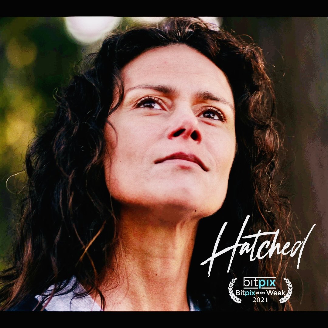 MelissaPonzio1 tweet picture
