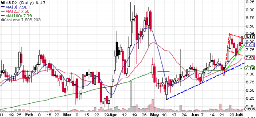 _Puppito's tweet photo. $ARDX nice move today. Thought it might test lower end of the flag but looks to be starting to break out (not to jinx it!). Starting to see a steeper ST support line forming (green line). Steep ST support can be quick to break so remember where the blue line is https://t.co/qZbYp9WFpf