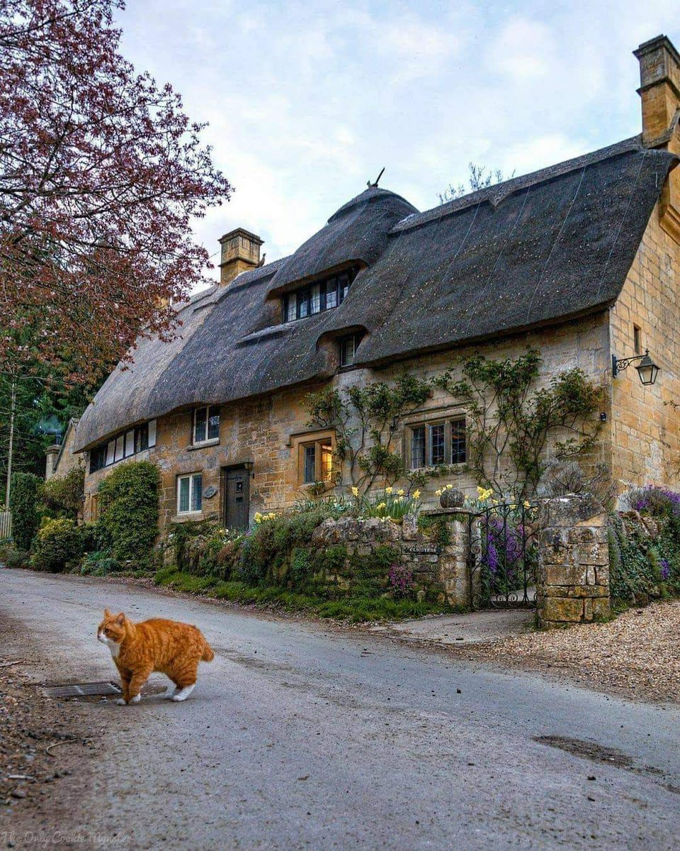 Can't have an English Village without s 🐈 cat