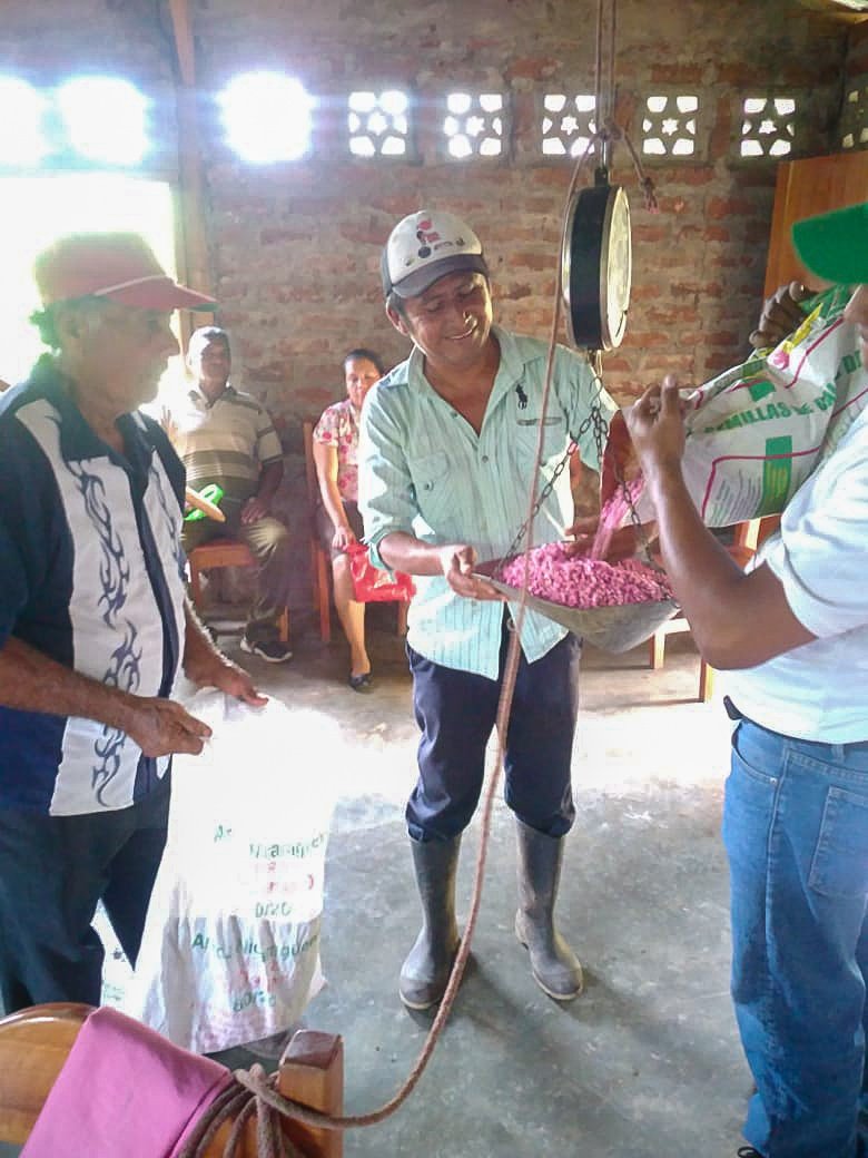 Propietarios de fincas privadas reciben de Biometepe semillas de granos básicos y hortalizas como incentivo por su apoyo a la conservación de la Lora Nuca Amarilla en la comunidad de la Palma, Ometepe, gracias al apoyo de Fauna&amp;FloraIntenacional y sus donantes #DarwinInitiative