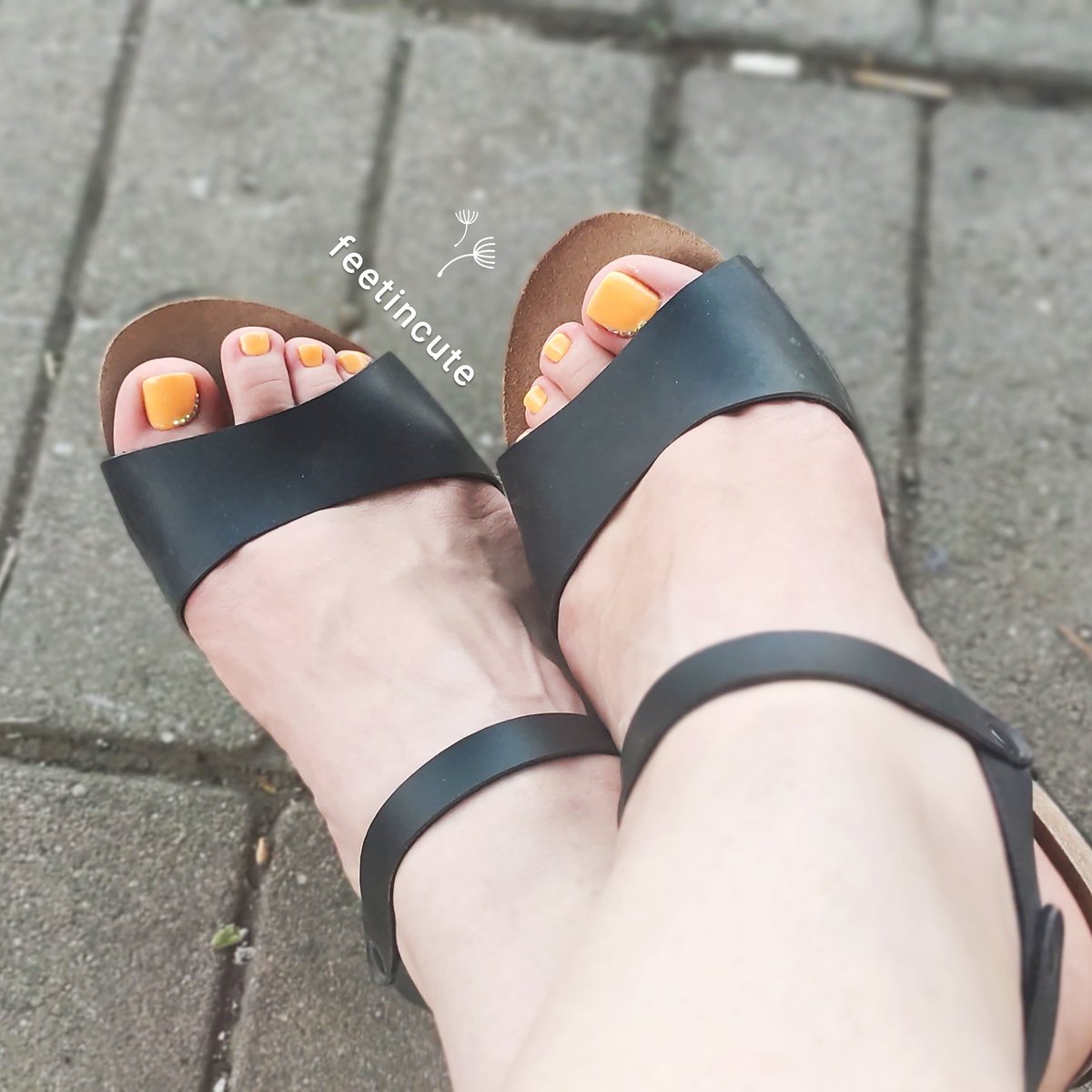 feetincute's tweet photo. New #pedicure 🧡👣
#smalltoes #palefeet #sexysolesandtoes #feetfetishworld #feetfreaks #footfetısh #footfetishnation #toes #thickfeet #barefoot #barefeet #prettytoes #prettytoesandsoles #shorttoes #smalltoes #femalefeet #toegap #pies #plussizefeet #neontoes #orangetoes https://t.co/1xbqzoERCb