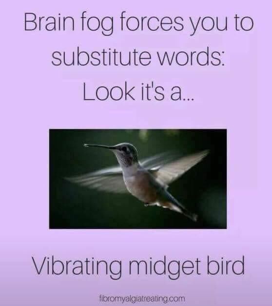 Very relatable. #brainfog #lyme