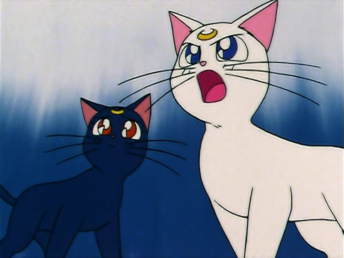 “I hope they’ll be okay.”
“Don’t worry. With the promise of cheesecake, they’ll win this fight!”