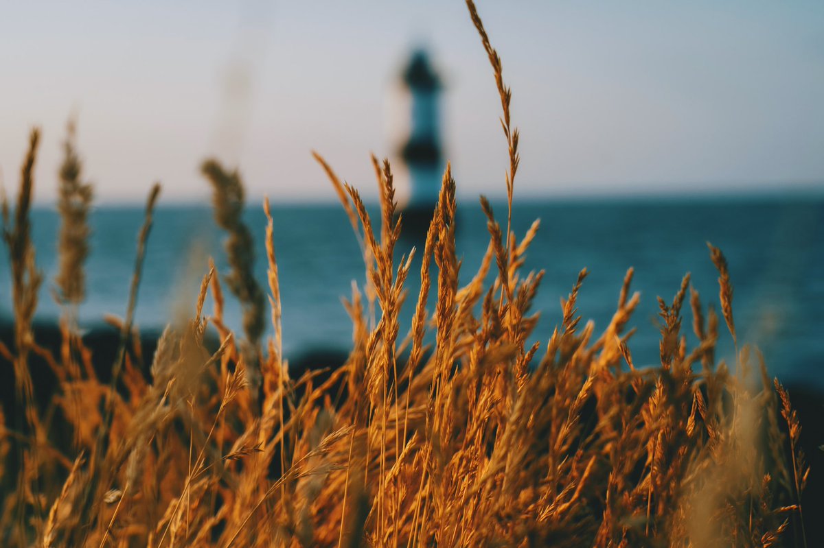 DanielCasson1's tweet photo. Coastal Dreams… https://t.co/wimfdI3Q1U