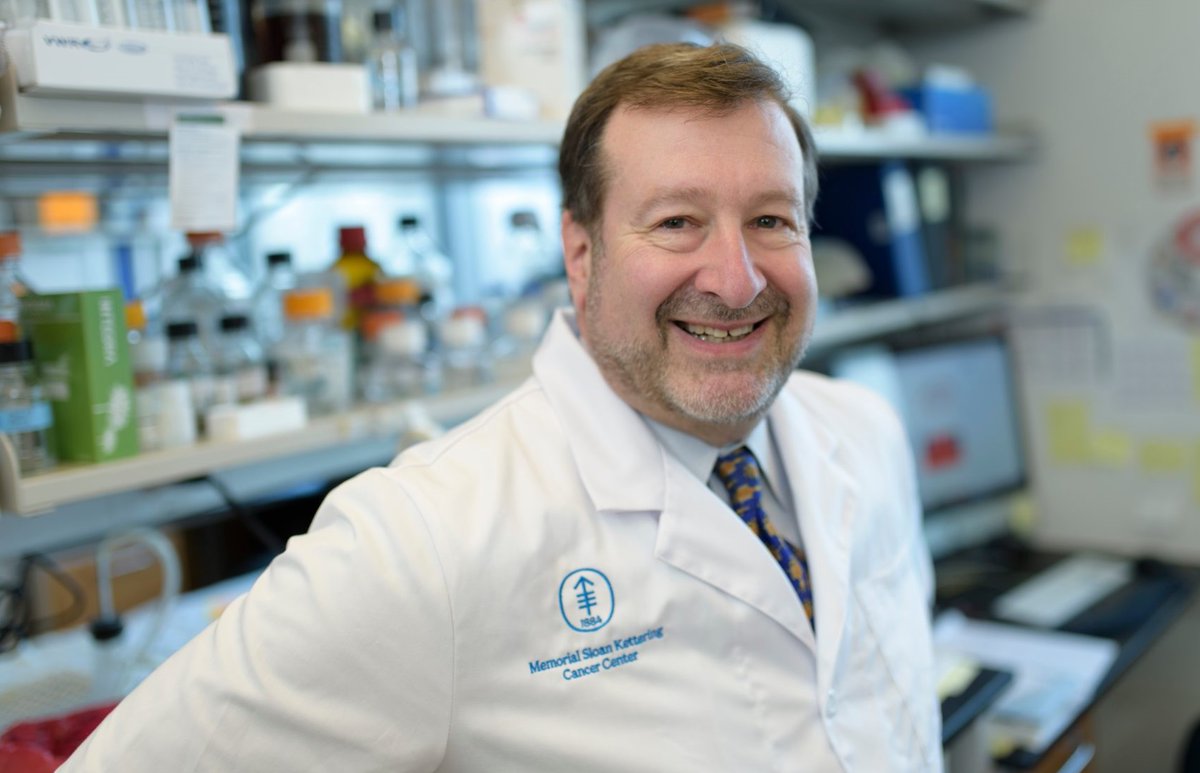 celltherapynews's tweet image. Dr. David Scheinberg&apos;s team (@DASLab_MSKCC) at @sloan_kettering and @EinsteinMed utilized the IgG protease “IdeS” to reprogram CAR T cells to defeat humoral #immune attacks ⚔️.
bit.ly/36ejtWg