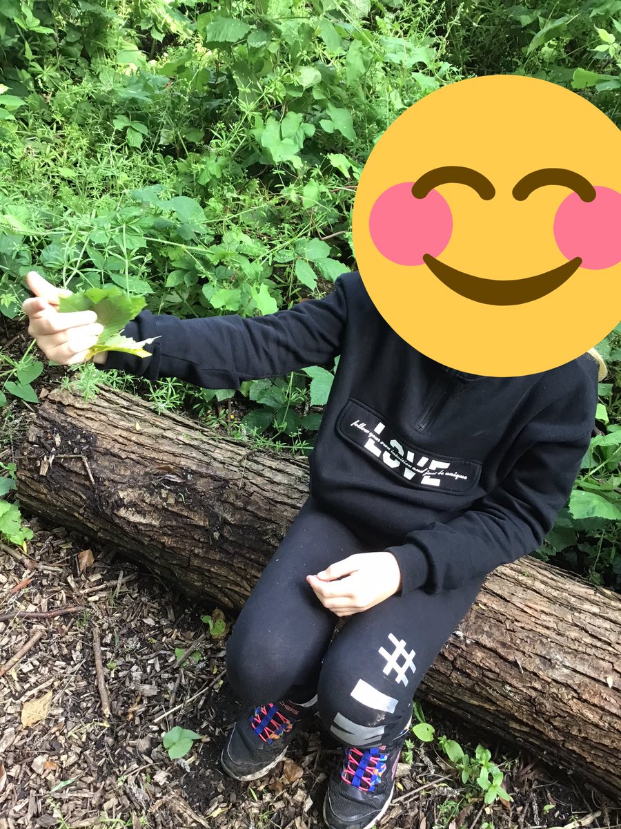 CooksterDebbie's tweet photo. Some children have been finishing off their crafts today in after school club @LisaProudman @RowParkAcademy #forestschool https://t.co/AOksFncIZV