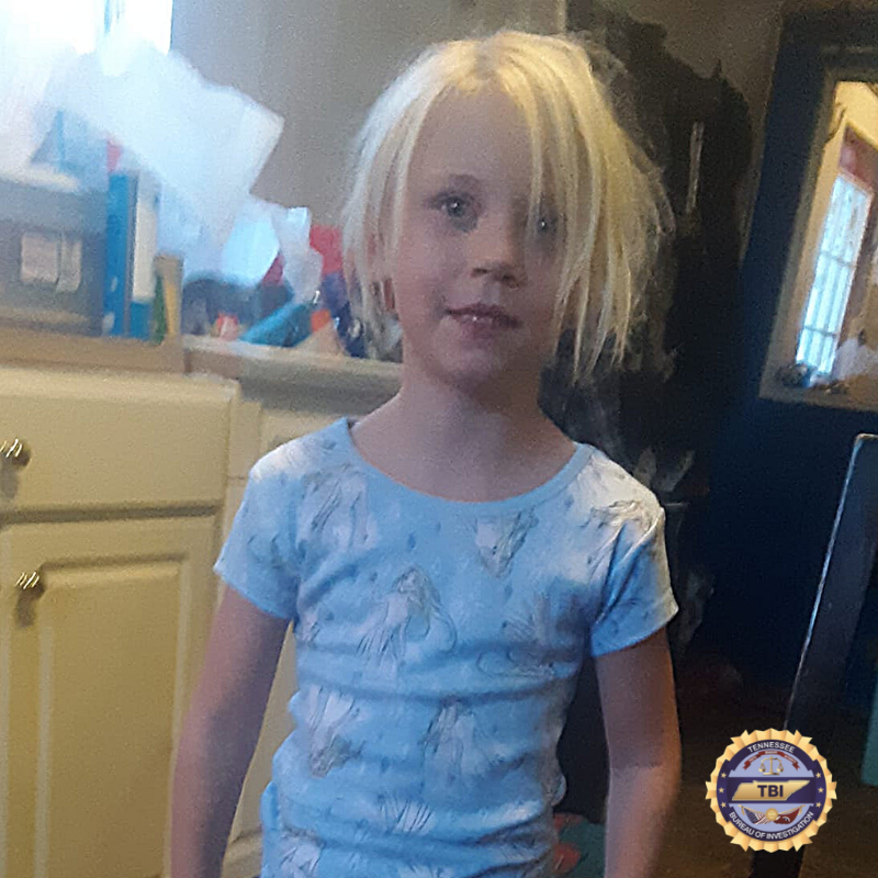 #TNAMBERAlert: The investigation into the disappearance of Summer Wells remains active and ongoing. In order to preserve the integrity of the investigation, we're not able to provide specifics.

We continue to urge anyone with credible information to call 1-800-TBI-FIND.