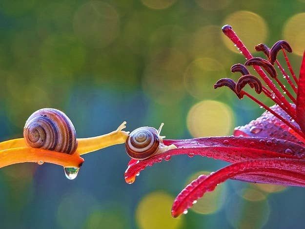 M_Mahta1's tweet photo. Be kind to each other.
We do not have the opportunity forever. 

#TuesdayMotivation https://t.co/eyaEI74w9C