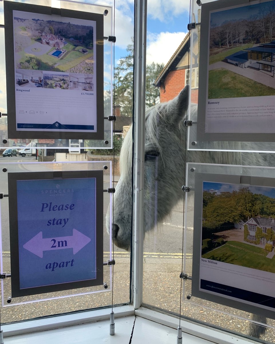 Browsing for a new property New Forest style 😍🐴
No noisy NEIGH..bours 🤣
.
.
#lovewhereyoulive #newforest #newforestponies #estateagents