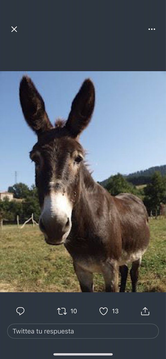 Monserr53792846's tweet photo. @MelgerTina @EtniaNostra @govern Pero qué os dan carnets de gilipollas o venís de serie. Hace tiempo q por la mañana “ apreteu “ por la noche “ la brimo “ y a la semana os meten en la cárcel. https://t.co/TDsCcuFPep