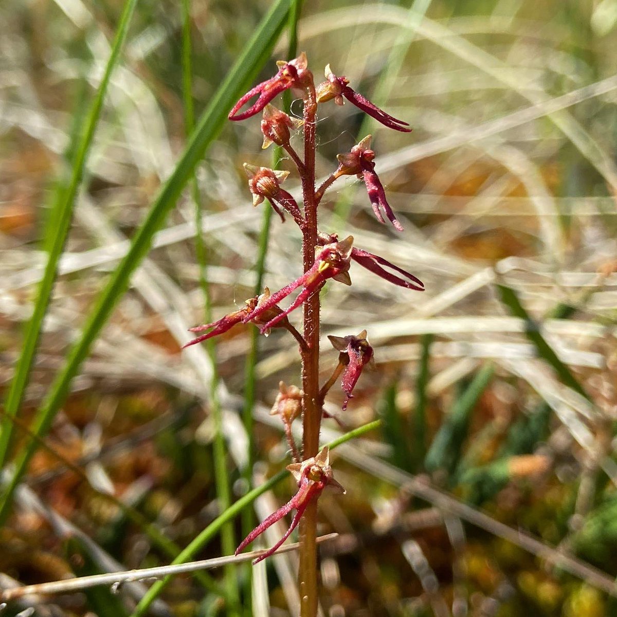 alex ebert tweet media