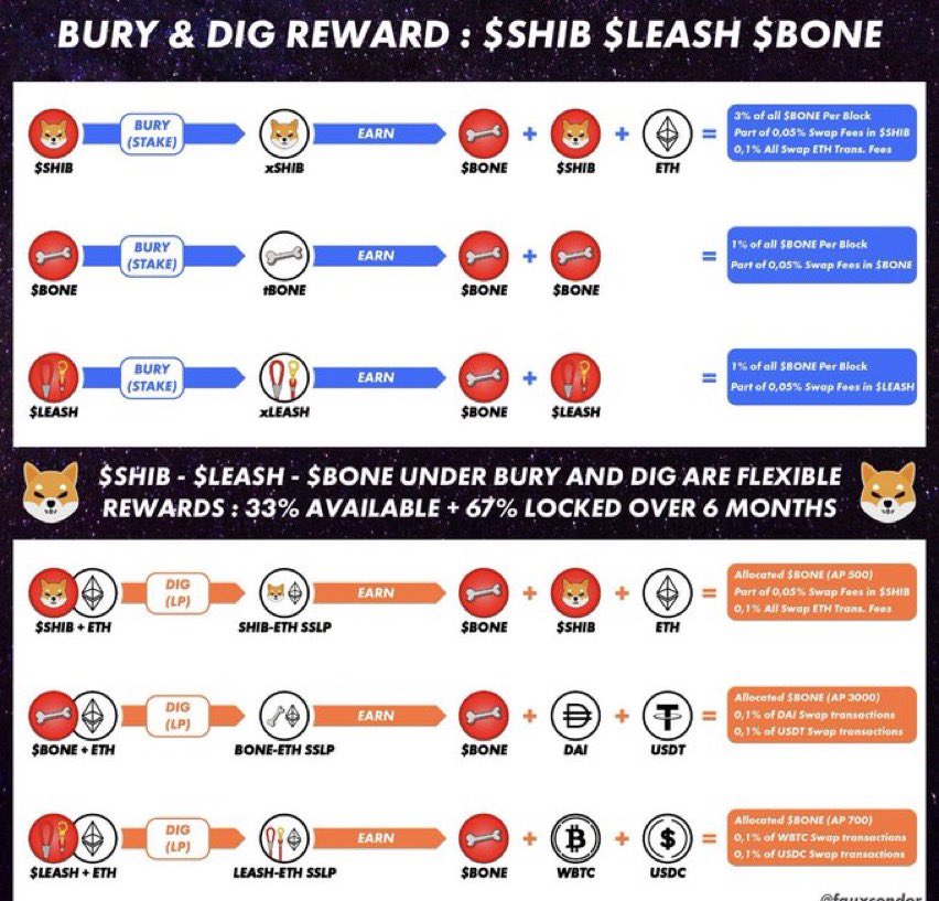 _cryptosurfer's tweet image. #SHIB #rewards #shibrewards $shib