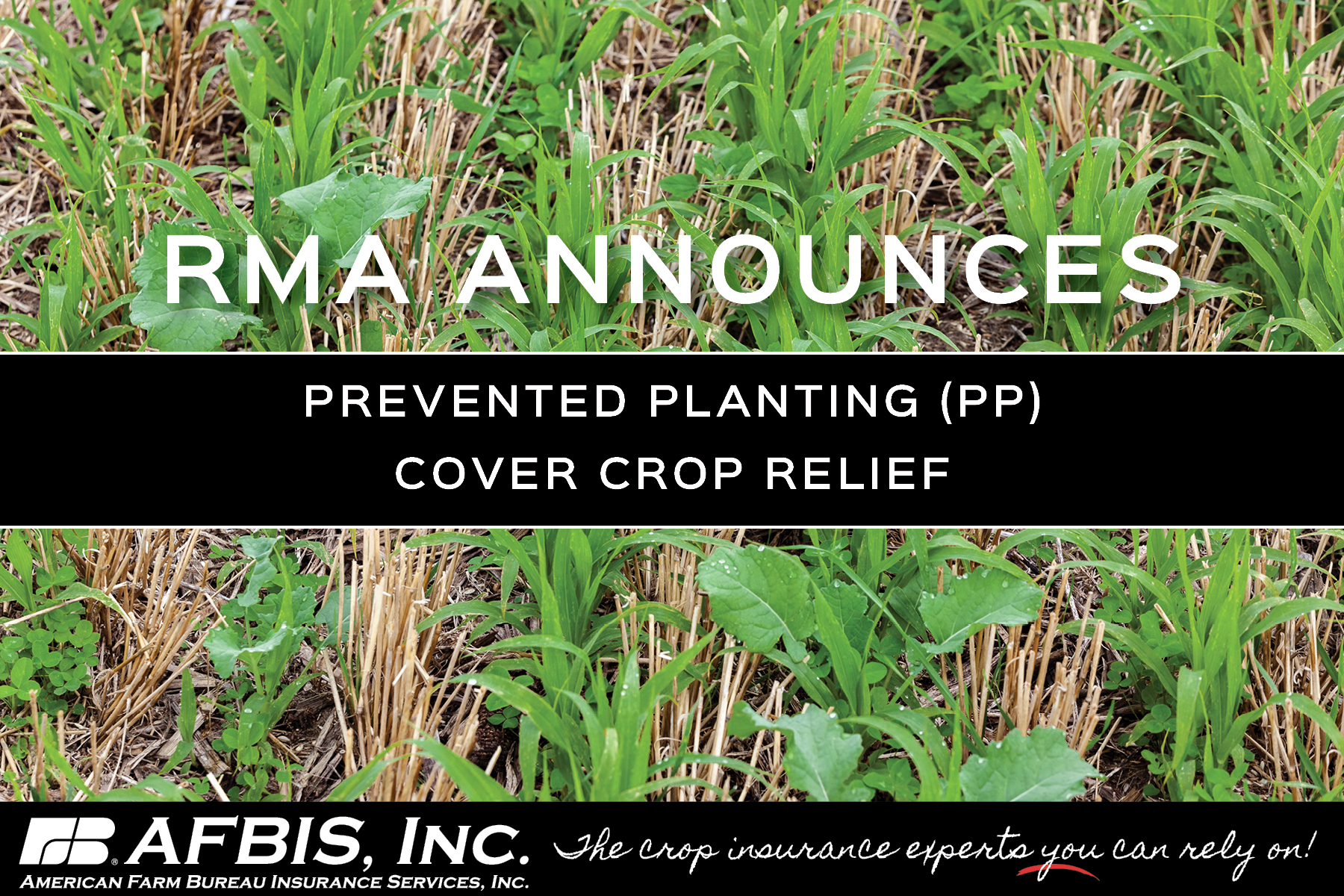 May 2019 Fargo Crop Watch American Farm Bureau May 2019 Fargo Crop Watch American Farm Bureau