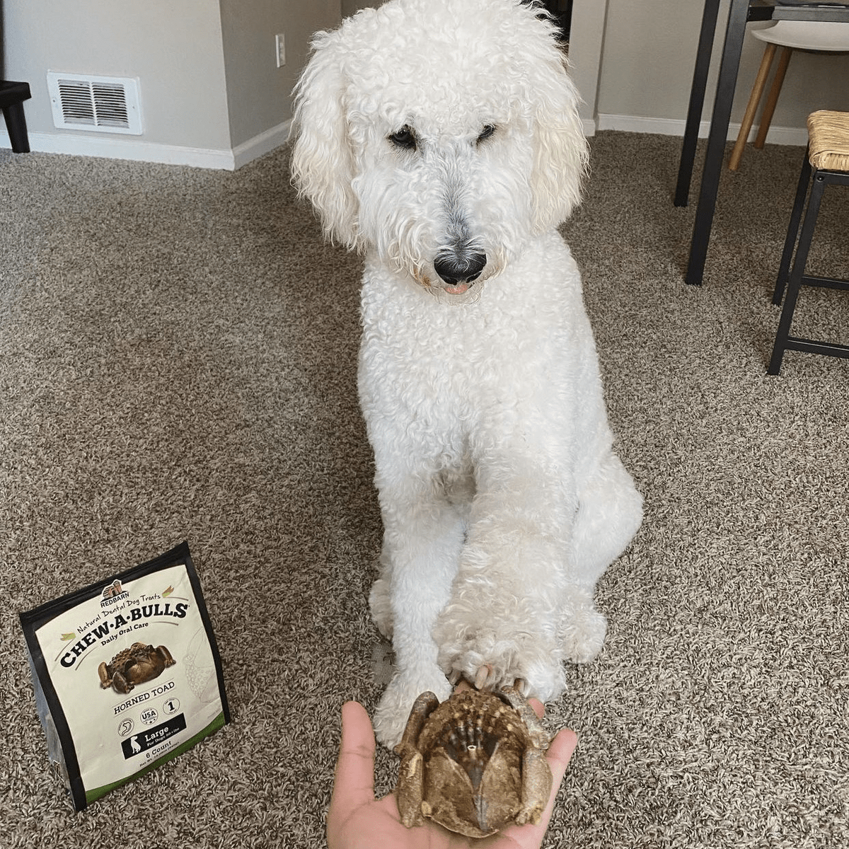 PetPlanetHealth's tweet photo. Stay tuned for something new from @redbarninc coming to Pet Planet - announcing July 15th!!
#petplanet #petplanethealth #yourpetsnaturalgrocer #naturalgrocer #newproducts #redbarn #redbarninc #new #products #dogs https://t.co/dFDhubUfJi