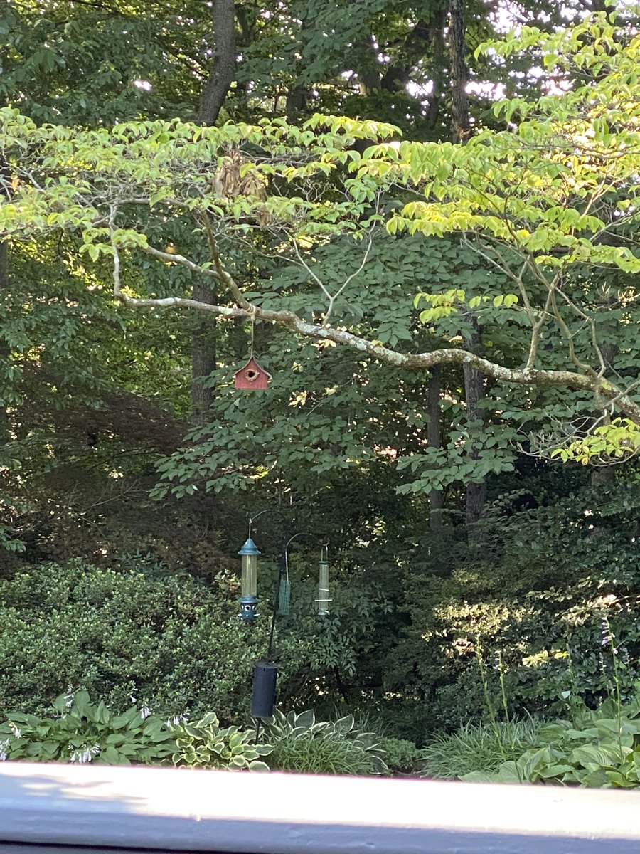 TeachMindfulne1's tweet photo. Focused attentional training or open awareness both belonging to traditional mindfulness practices cultivate nonattachment to what we perceive. Does the object you see make you curious or reminiscent? #mindful #curious #openawareness https://t.co/YE1aWjOHB1