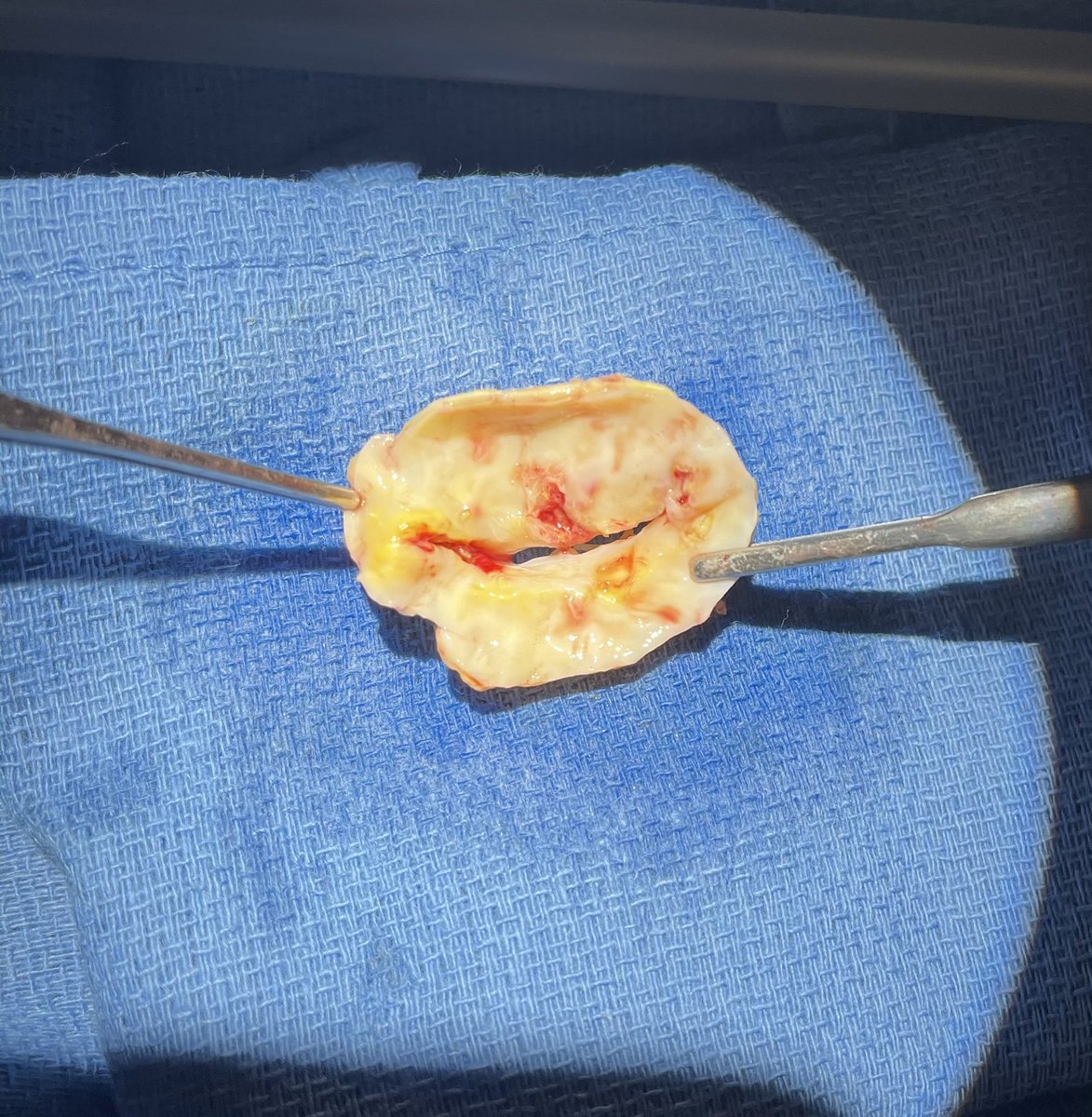 Sohail Khan MD,MHCM tweet media