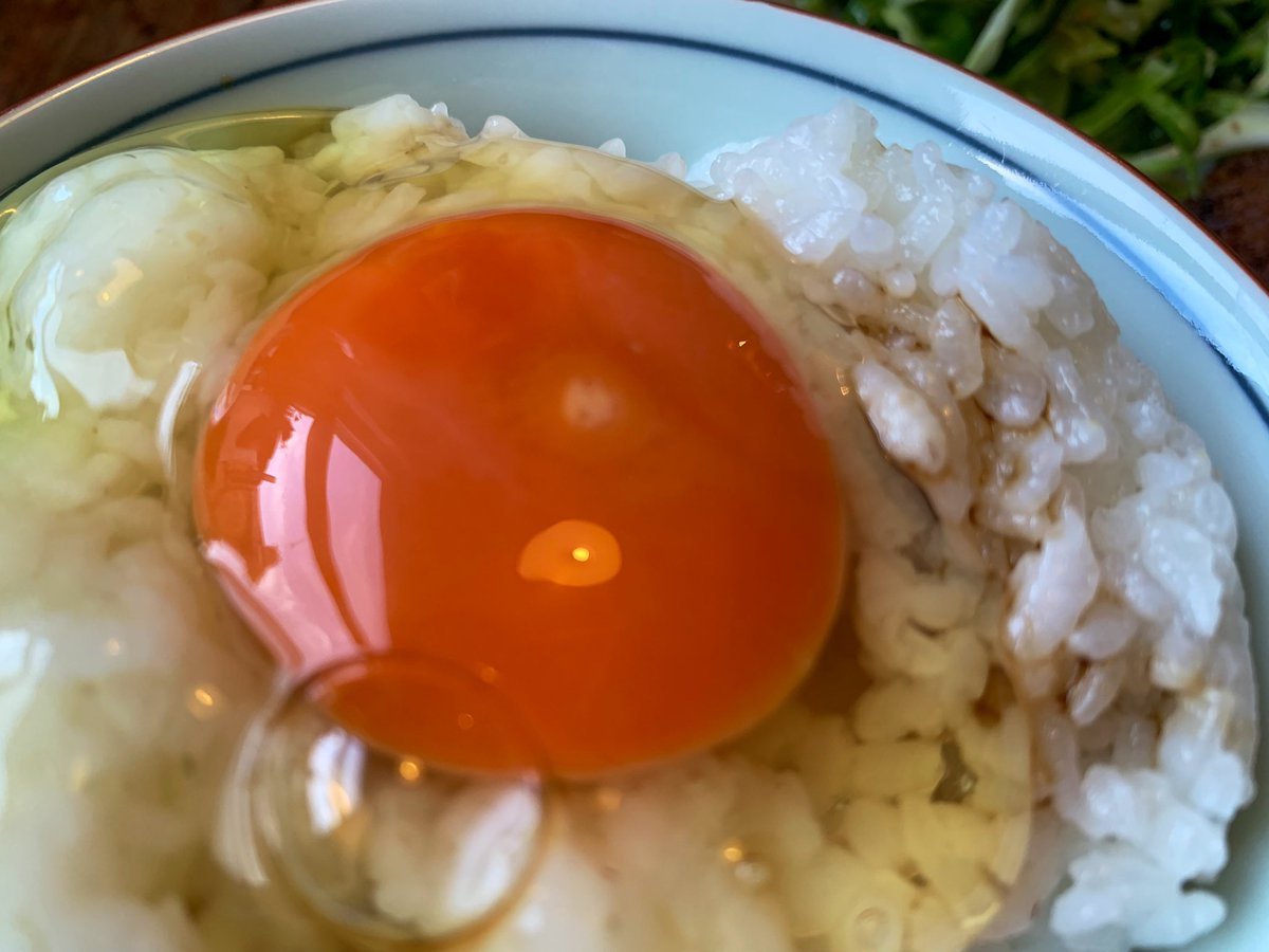 𝖸𝗈 𝖮𝗄𝖺𝖽𝖺 どうもありがとうございます この卵 イギリスで手に入る中では最高級なんです 𝖸𝗈 𝖮𝗄𝖺𝖽𝖺 どうもありがとうございます この卵 イギリスで手に入る中では最高級なんです